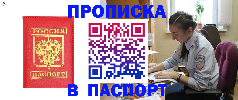 прописка гарантия в Звенигороде